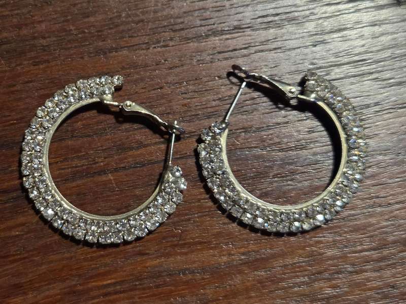 Beautiful Shinny Earrings