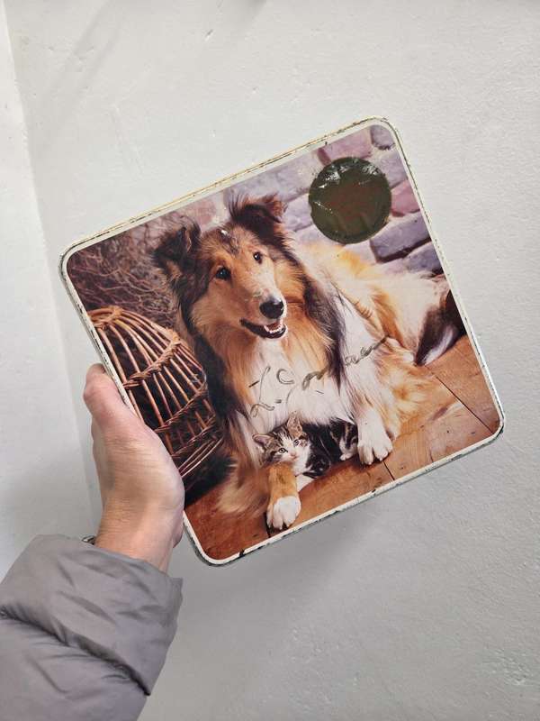 Vintage Bakers Tin with Dog and Cat detail - 22cm x 22cm x 8cm