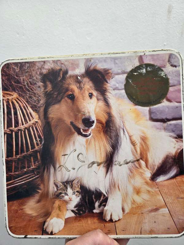 Vintage Bakers Tin with Dog and Cat detail - 22cm x 22cm x 8cm