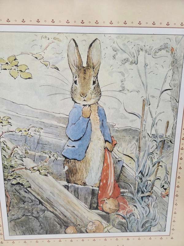 Large Framed Print - The Tale of Benjamin Bunny - Beatrix Potter Perfect - Size - 55cm x 46cm