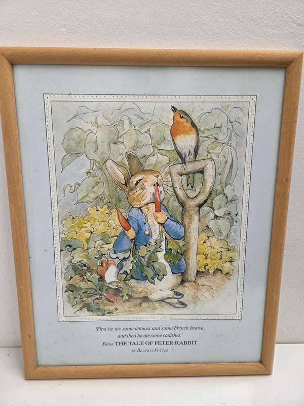 Large Framed Print - The Tale of Peter Rabbit - Beatrix Potter - Size - 52cm x 42cm