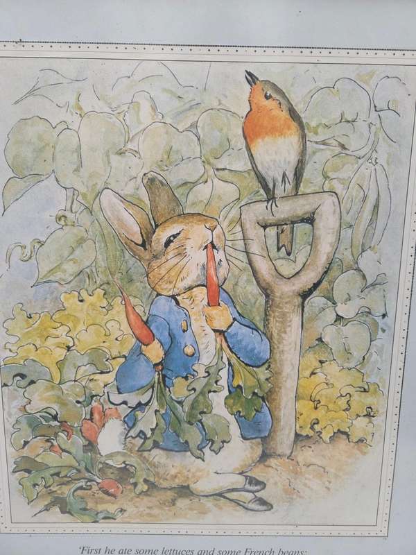 Large Framed Print - The Tale of Peter Rabbit - Beatrix Potter - Size - 52cm x 42cm