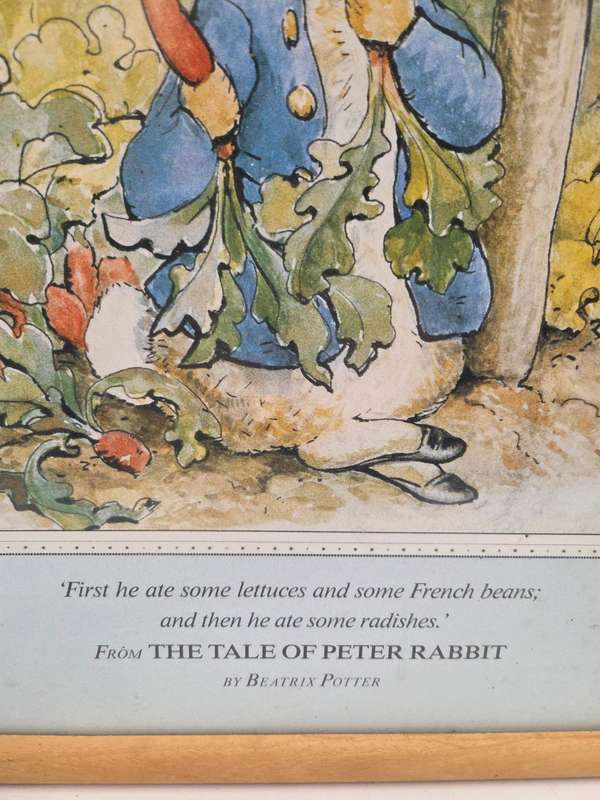 Large Framed Print - The Tale of Peter Rabbit - Beatrix Potter - Size - 52cm x 42cm