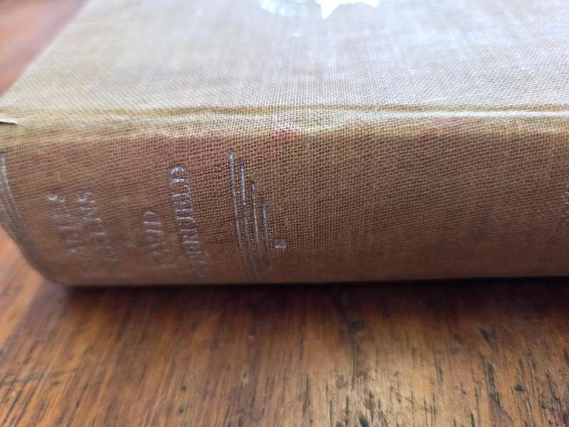 Charles Dickens - David Copperfield
