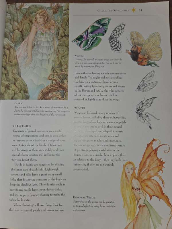 Watercolor Fairies - A Step-by-step guide to creating the fairy world - Riche & Franklin