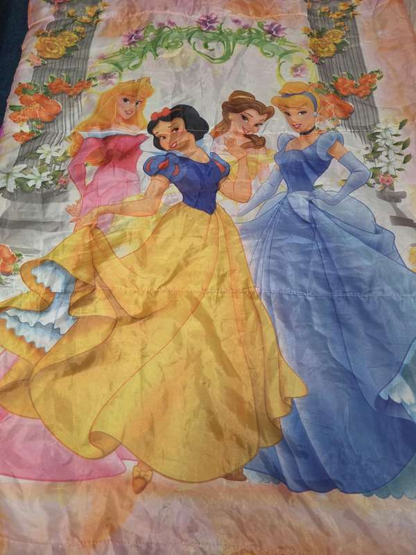 Disney Princess Sleeping bag