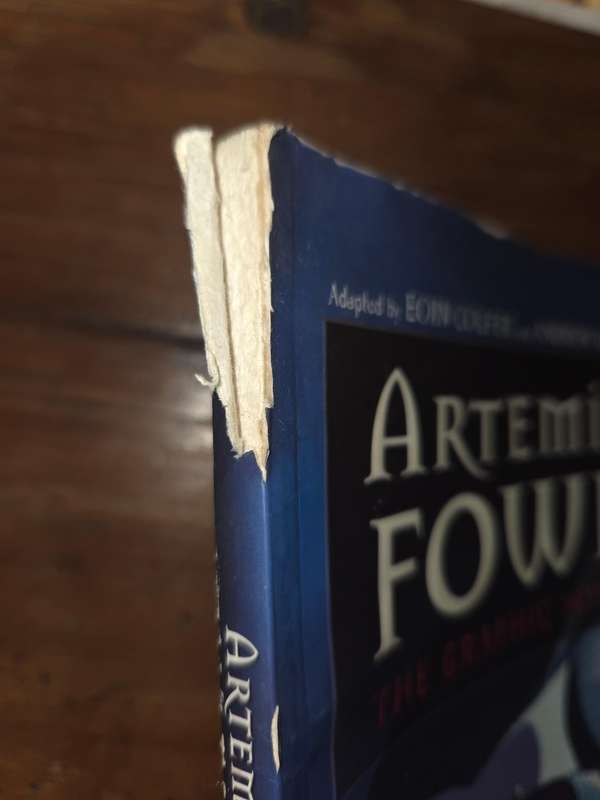 Artemis Fowl - The Graphic Novel