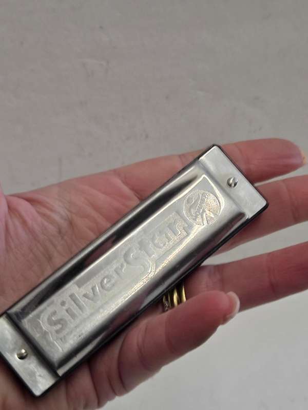 Hohner Silver Star Harmonica