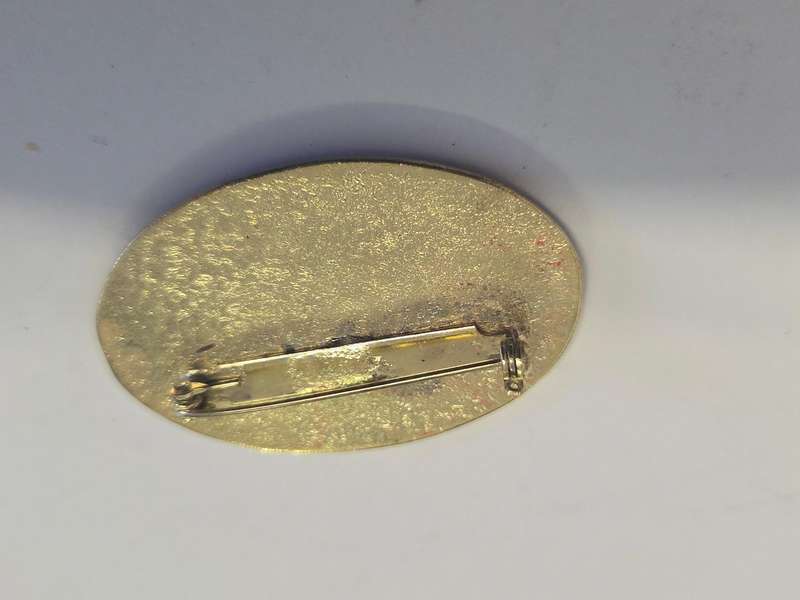 Cape Mountaineer South Africa 1992 badge