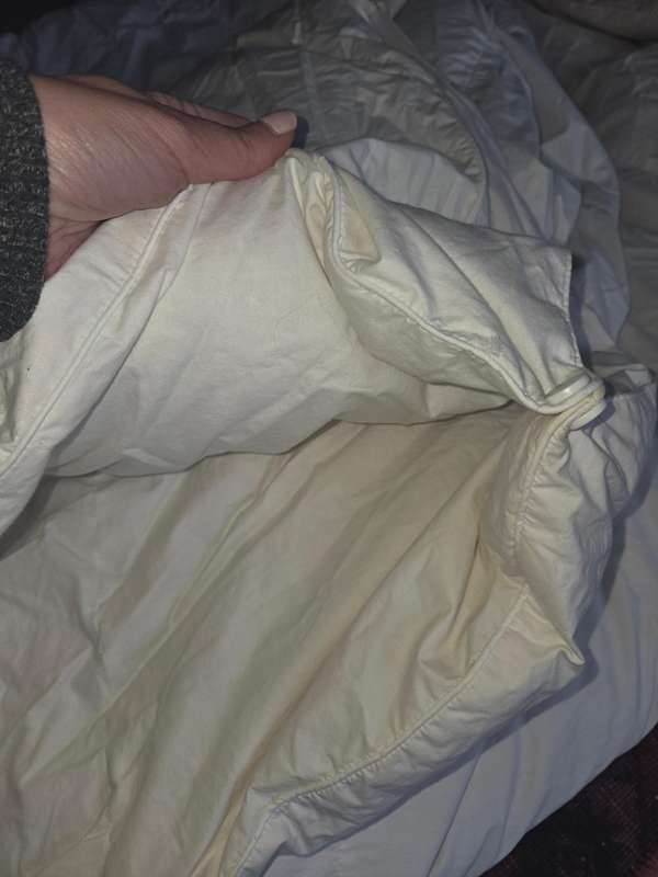 All Season Goose Down Duvet Inner - KX