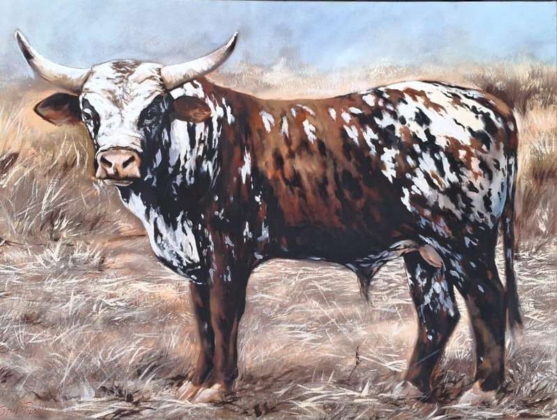 Stan Polson Unframed 101 X 76 X 4  cm Oil on STRETCHED CANVAS