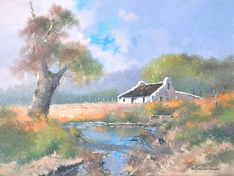 Neil janse Van Nieuwenhuizen Oil on Canvas on Board 60 x 45 cm