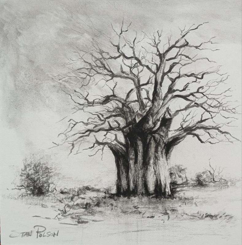 Stan Polson unframed 40 X 40 X 4  cm CHARCOAL on STRETCHED CANVAS