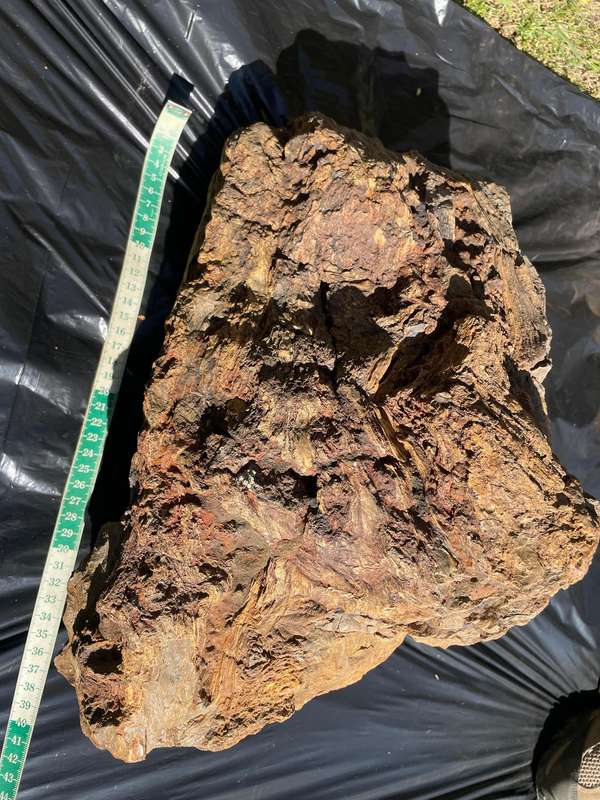 Petrified Wood Fossil Rock 23 kg