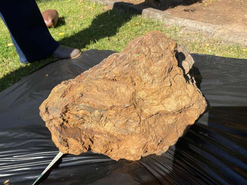 Petrified Wood Fossil Rock 23 kg