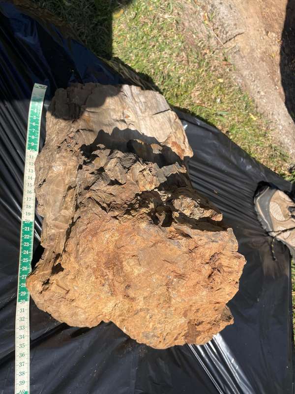 Petrified Wood Fossil Rock 23 kg