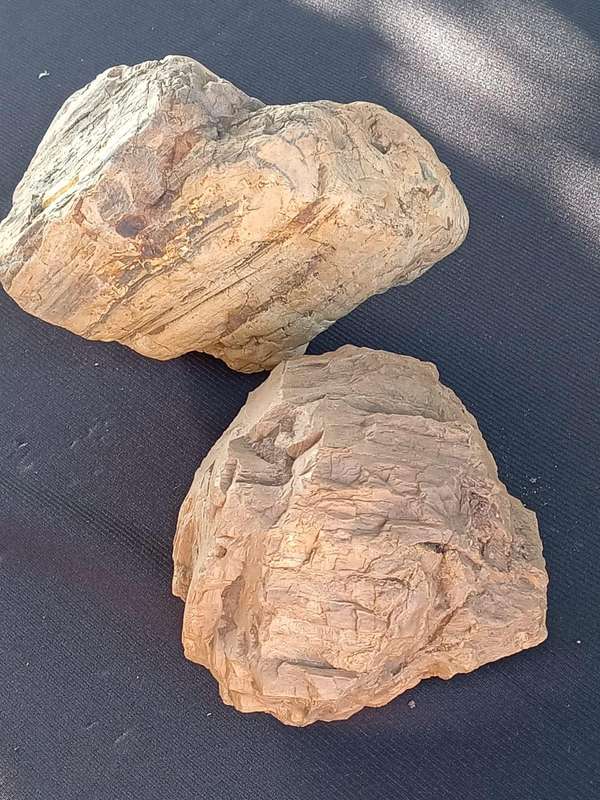 Petrified Wood Fossil Rock 23 kg