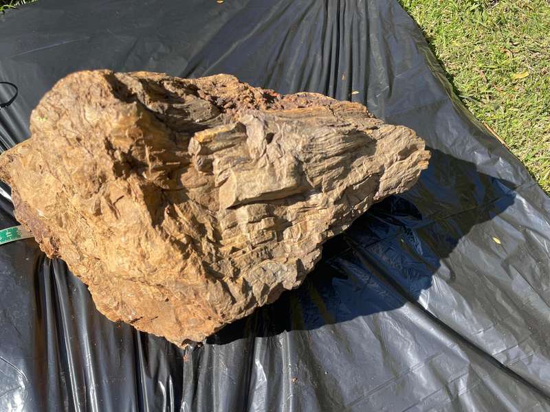 Petrified Wood Fossil Rock 23 kg