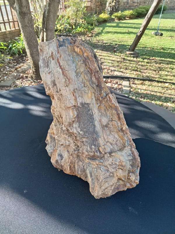 Petrified Wood Fossil Rock 23 kg