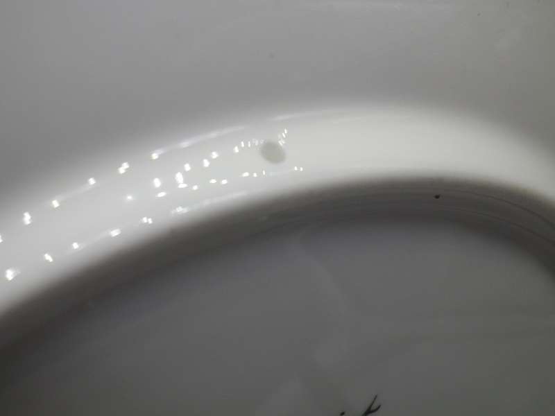 Queen Mother (England) Danbury Mint celebration display plate. Coalport 20cm