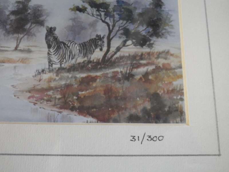 PAIR KRUGER NATIONAL PARK FRAMED Limited Edition SIGNED PRINTS 27x 22cm