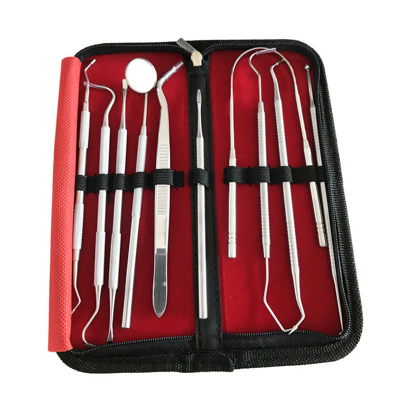 10 in 1 Professional Stainless Steel Dental Tools Kit