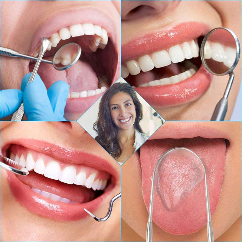 10 in 1 Professional Stainless Steel Dental Tools Kit