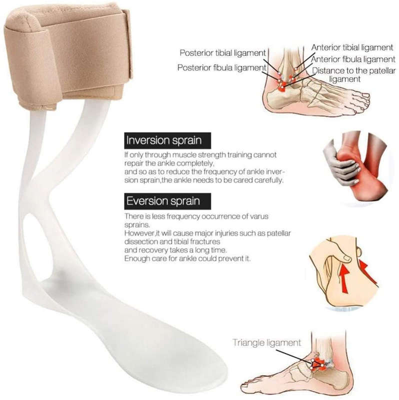 Foot Drop Orthosis Ankle Corrector Brace Support (Size:L) - Right