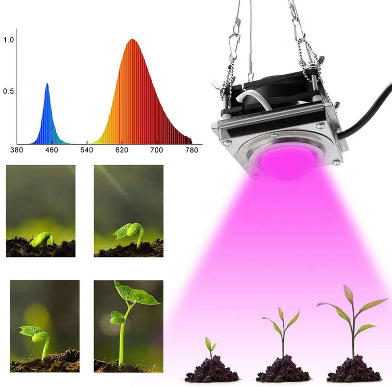 LED Full Spectrum Grow Light for Indoor Plants with Rear Fan Hooks