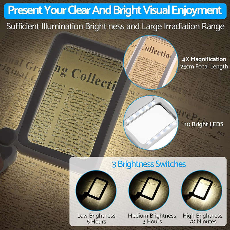 Rechargeable 4X Handheld Magnifying Glass with 10 LED Light for Reading