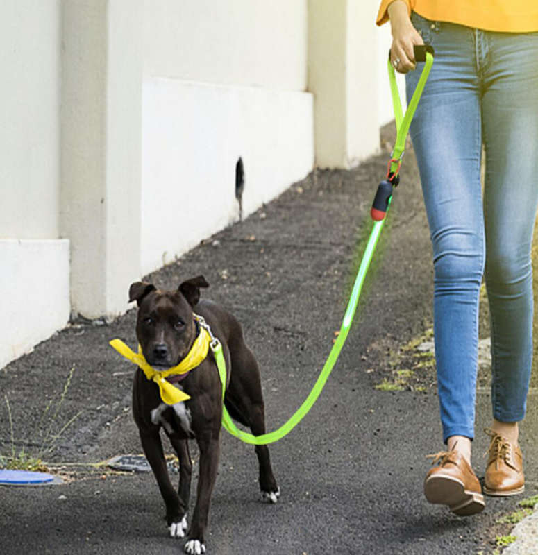LED Light-up Dog Leash-Light Green