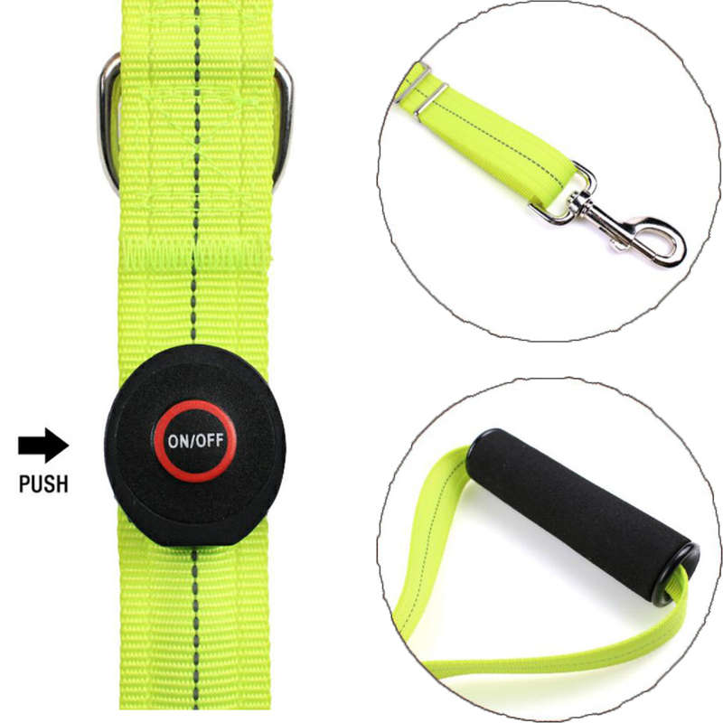 LED Light-up Dog Leash-Light Green