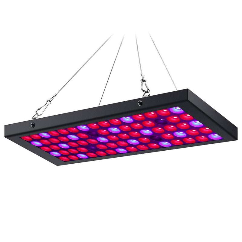 40W Rectangle Full Spectrum Grow Light for Indoor Plants