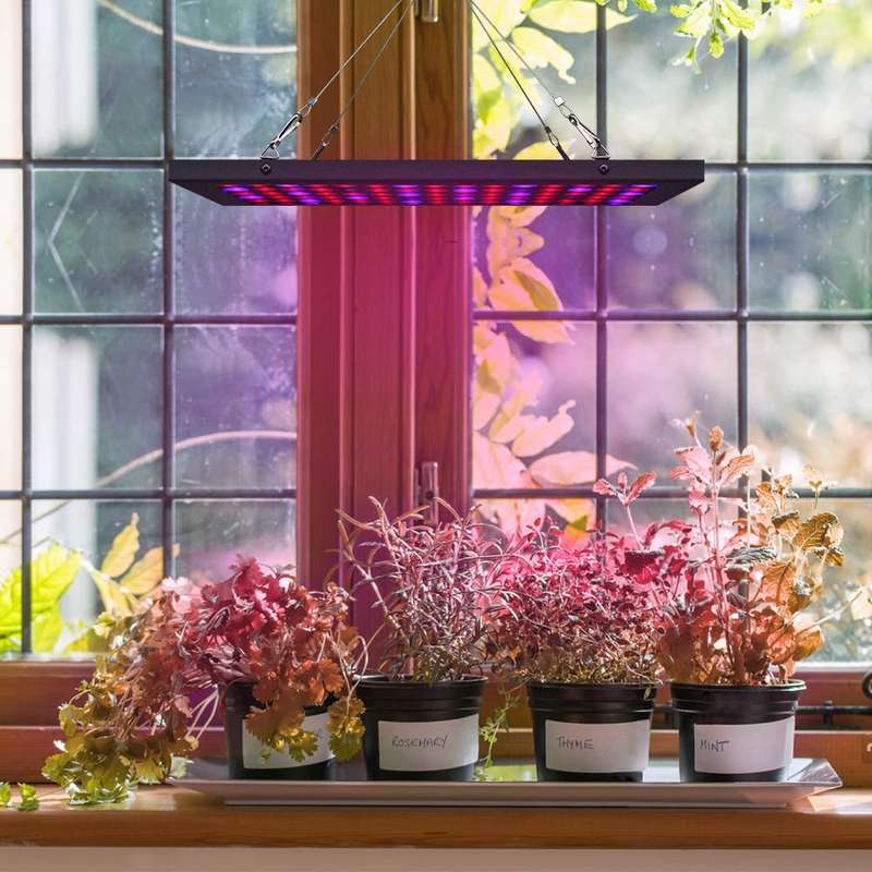 40W Rectangle Full Spectrum Grow Light for Indoor Plants