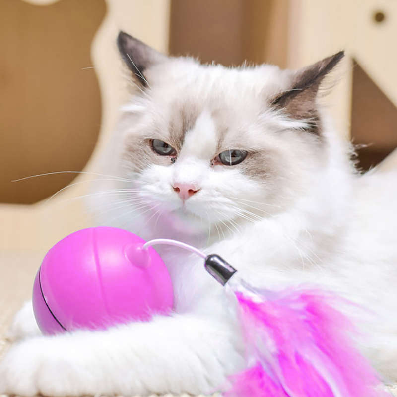 USB Rechargeable Led Light Rolling Ball Toys for Cats-Red