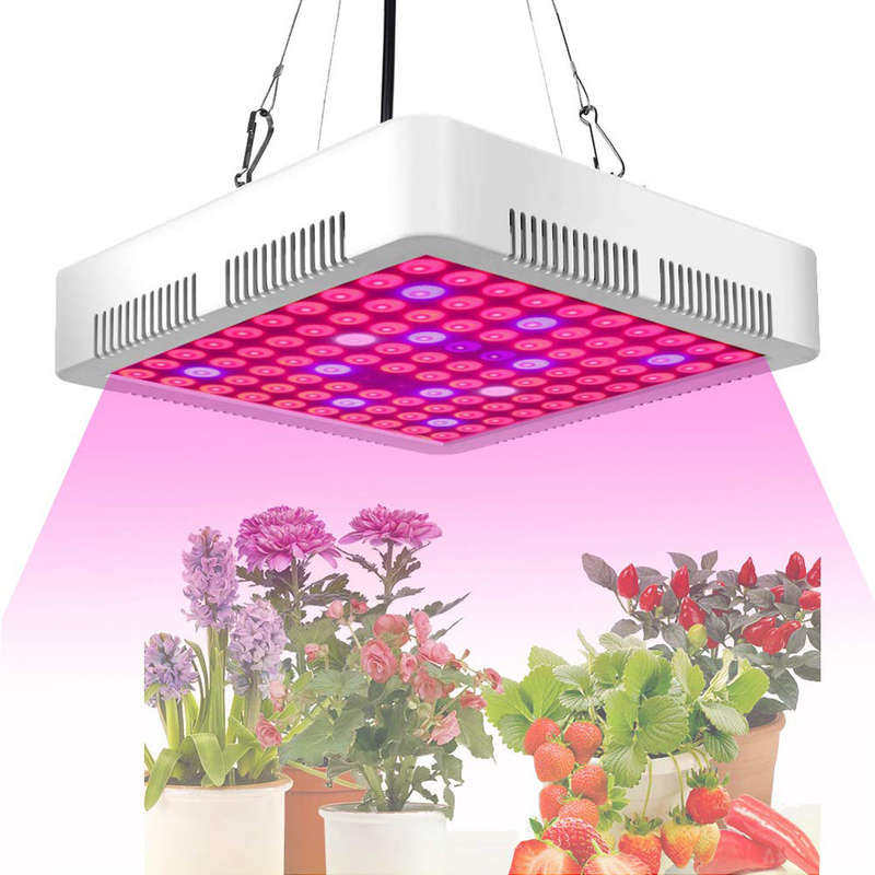 300W Full Spectrum LED Grow Light for Indoor Plants and Flower