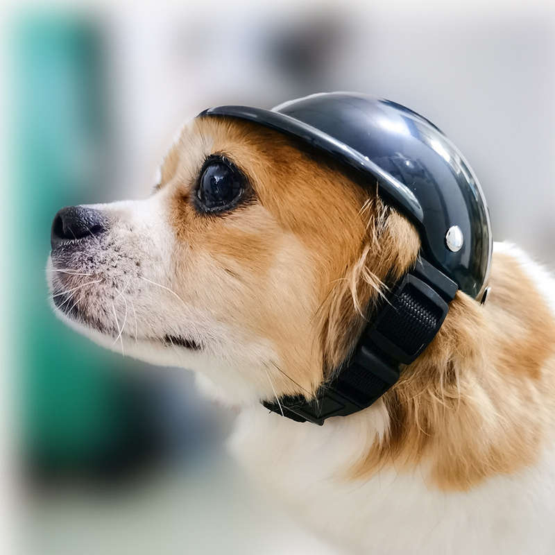 Pet Helmet Safety Hat Dog Helmet with Adjustable Belt for Riding-Size M