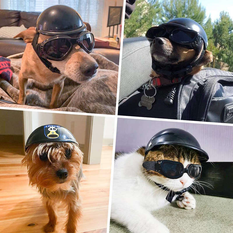 Pet Helmet Safety Hat Dog Helmet with Adjustable Belt for Riding-Size M