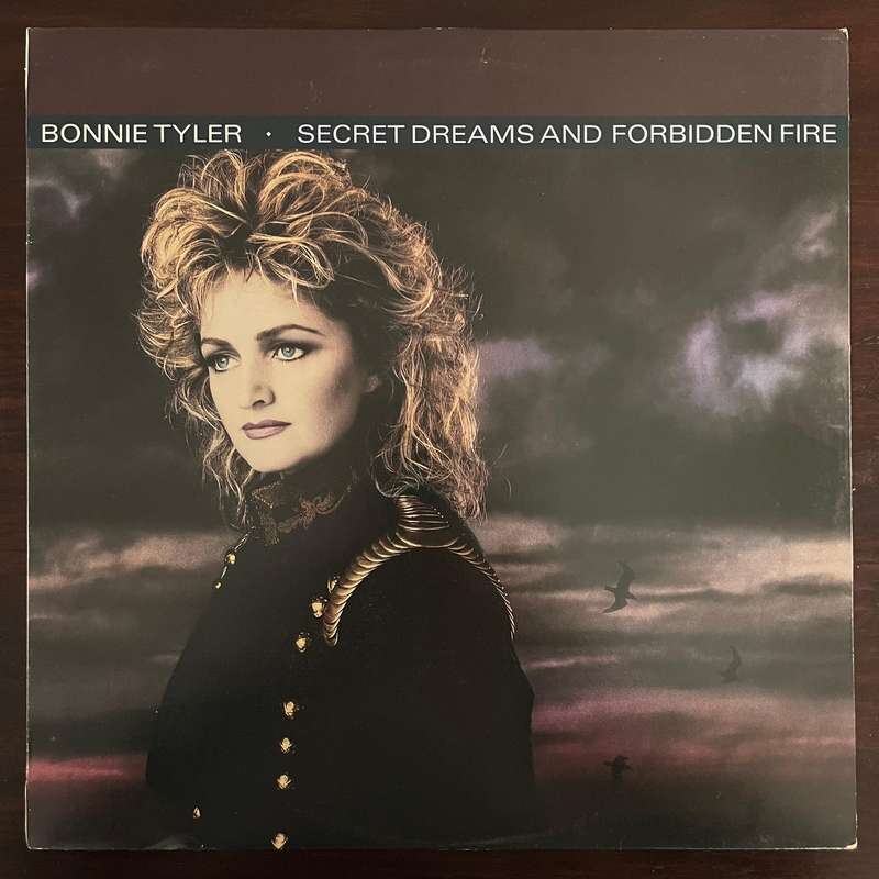Bonnie Tyler - Secret Dreams and Forbidden Fire Vinyl LP South African Press