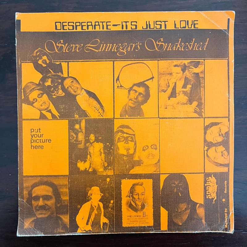 Steve Linnegar's Snakeshed - Desperate - It's Just Love Vinyl 7 Inch Single Rare South African Prog