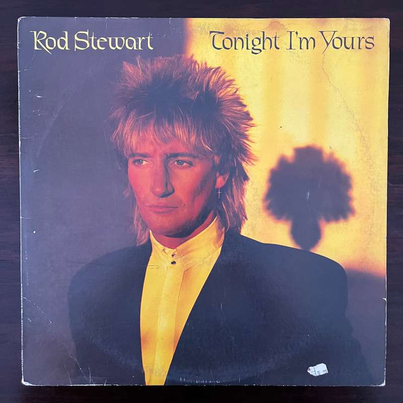 Rod Stewart - Tonight I'm Yours Vinyl LP US Press Import