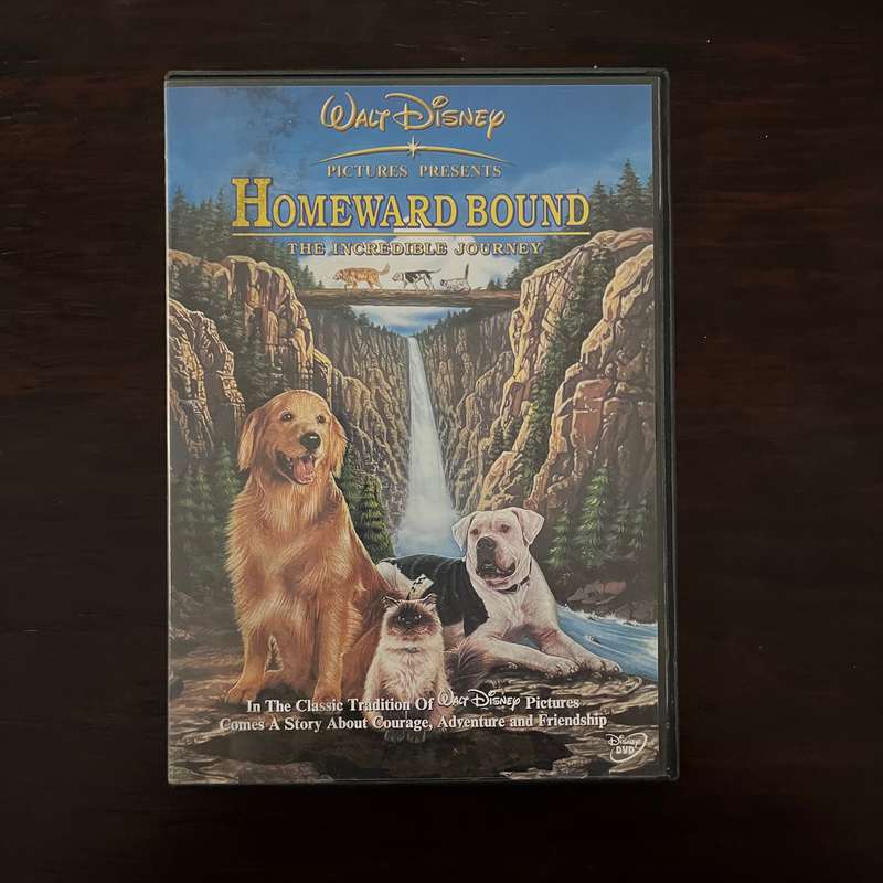 Homeward Bound - The Incredible Journey DVD Disney South African Press