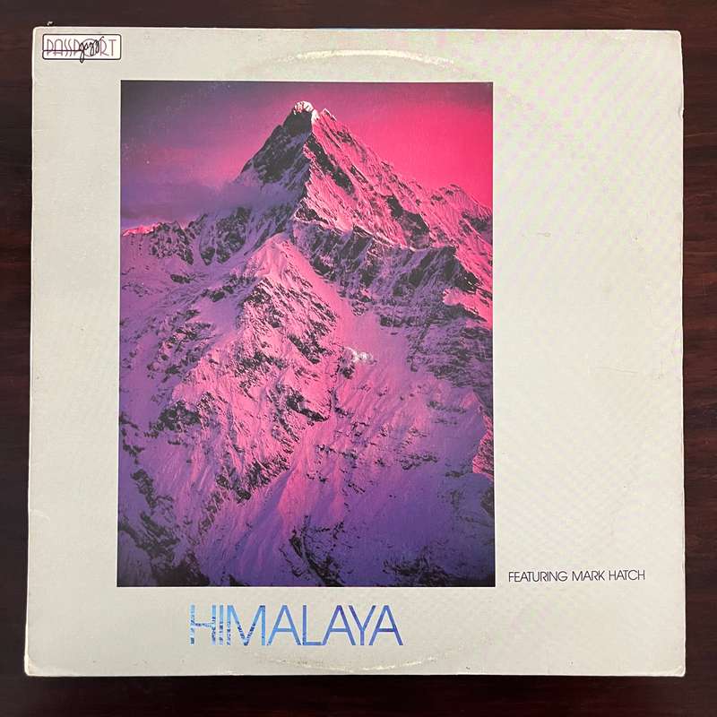 Jeff Richman And Another Language - Himalaya Vinyl LP South African Press Jazz Fusion