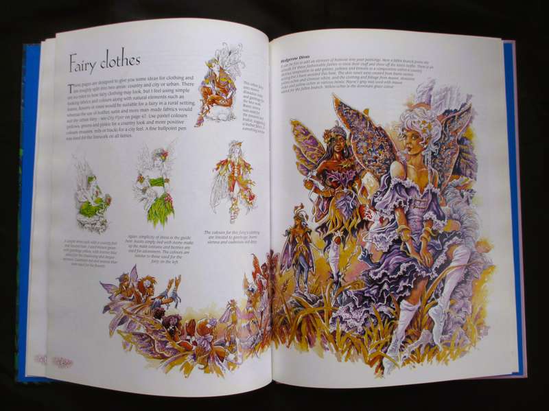 Painting Fairies in Watercolour Book by Paul B. Davies