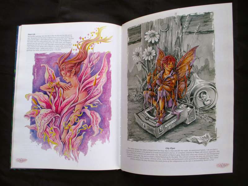 Painting Fairies in Watercolour Book by Paul B. Davies