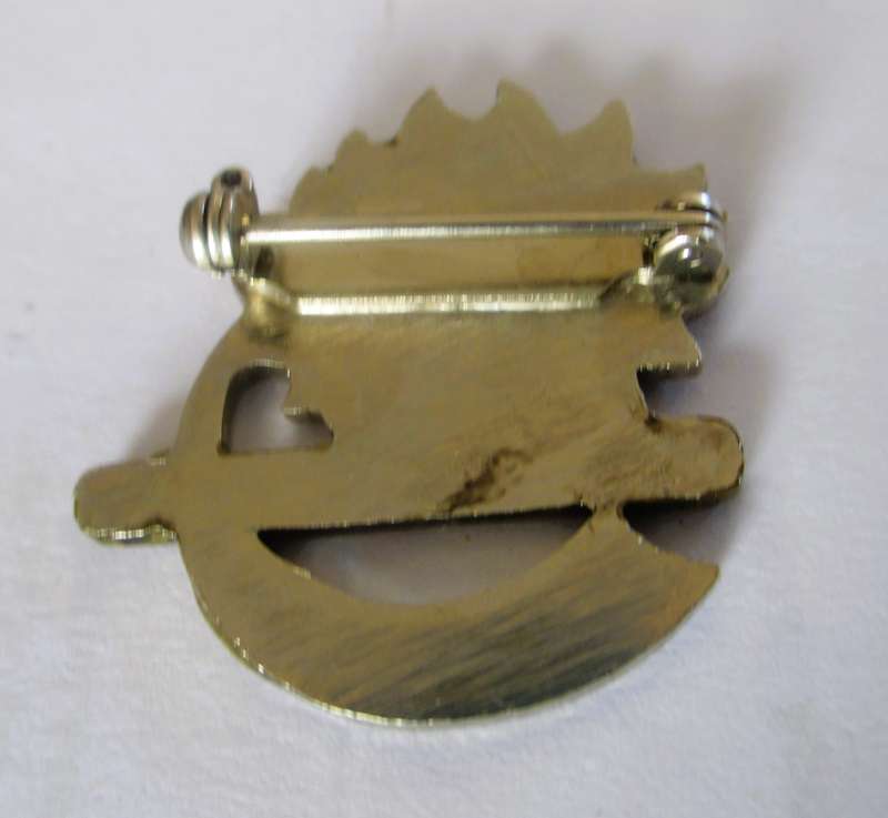 Vintage SAWBT Cape Town 1987 Badge