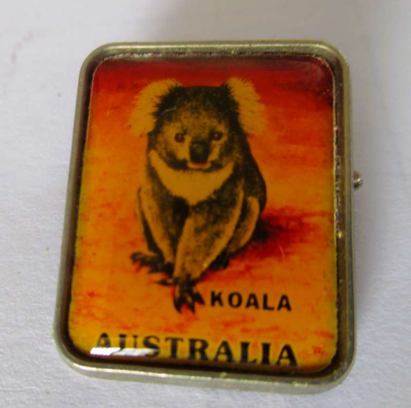 Koala - Australia - Vintage Souvenir Collectable Pin Badge