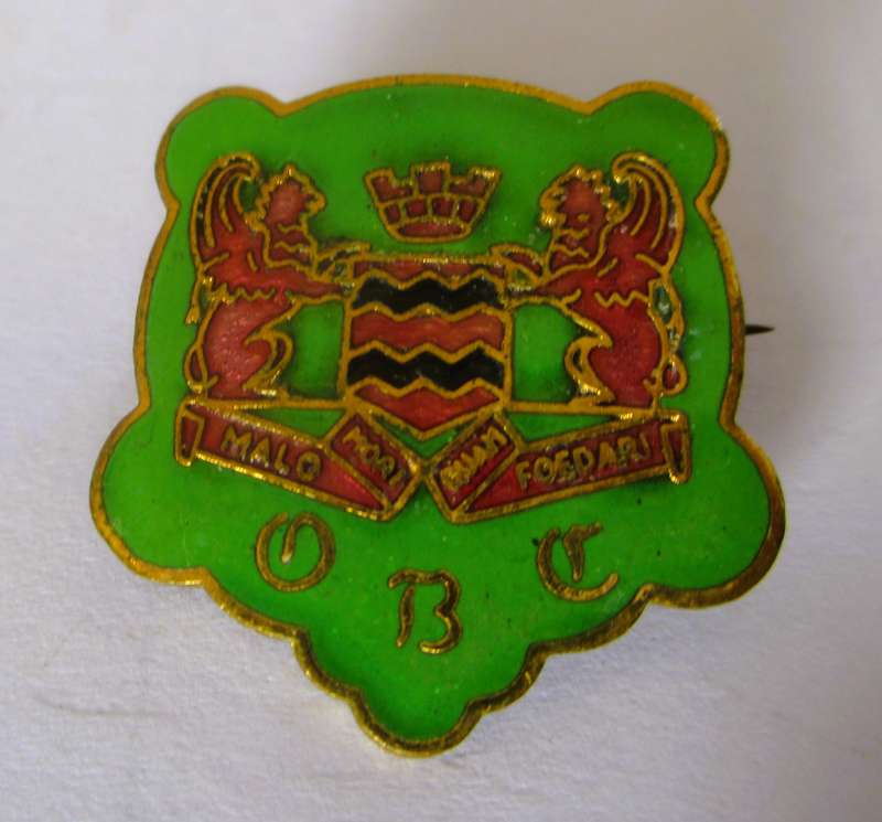 Vintage Enameled badge, as per photo.
