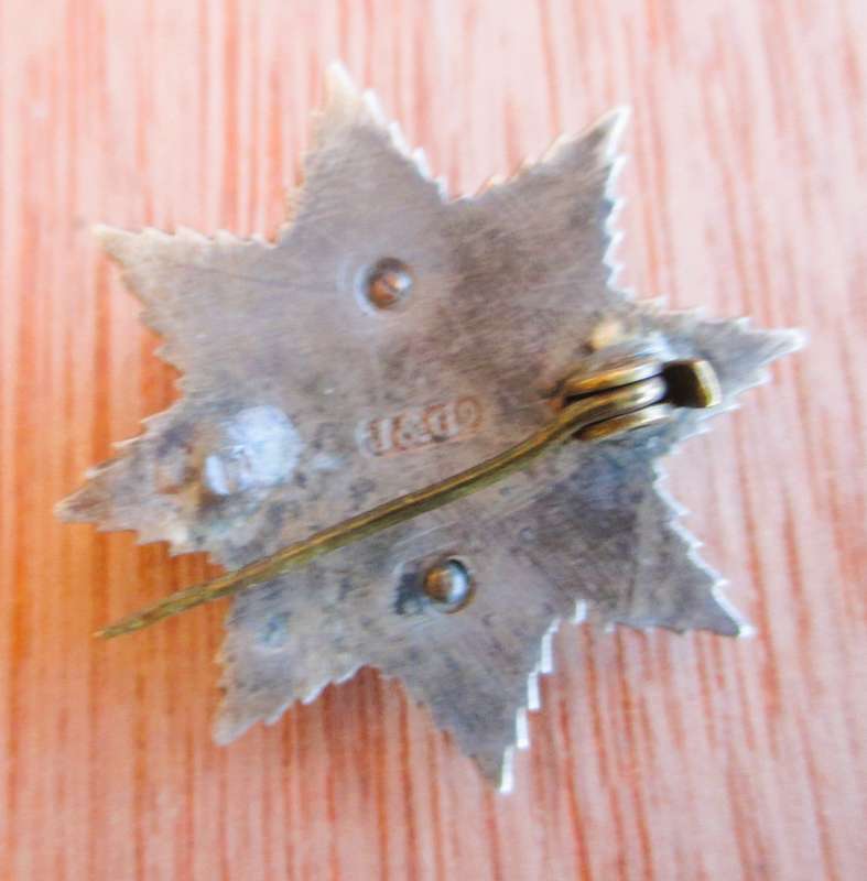 Royal Lincolnshire Regiment Officer's Field Service Badge