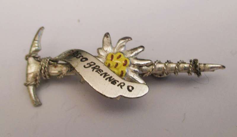 VINTAGE Austrian Metal Enamel Alpine Souvenir Hat Pin ~Passo Grenner ~ Floral ~ Ice pic, rope 45mm